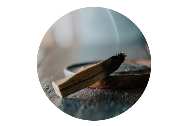 Palo Santo Palo Santo