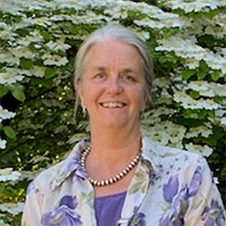 Ann Harman